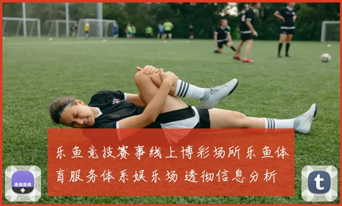 乐鱼竞技赛事线上博彩场所乐鱼体育服务体系娱乐场 透彻信息分析