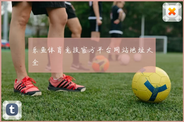 乐鱼体育竞技官方平台网站地址大全