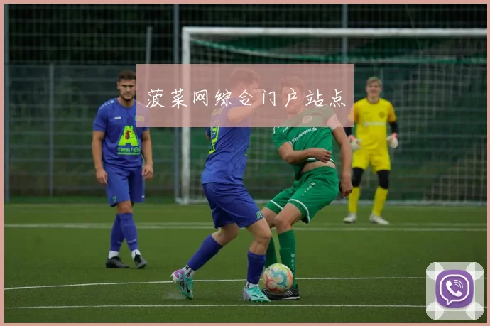 菠菜网综合门户站点