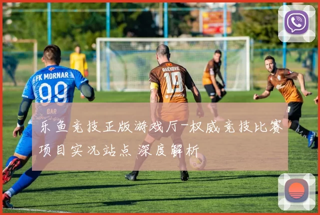 乐鱼竞技正版游戏厅-权威竞技比赛项目实况站点 深度解析