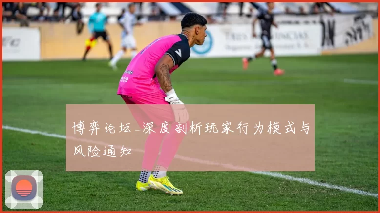 博弈论坛_深度剖析玩家行为模式与风险通知