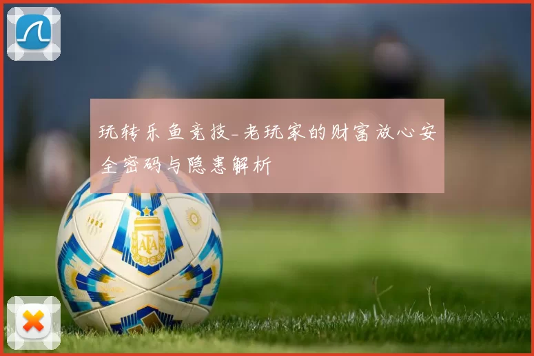 玩转乐鱼竞技_老玩家的财富放心安全密码与隐患解析