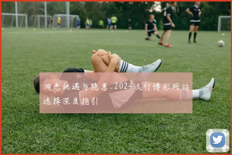 洞悉机遇与隐患_2024流行博彩网站选择深度指引