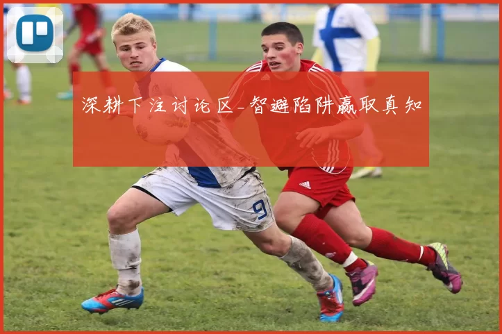 深耕下注讨论区_智避陷阱赢取真知