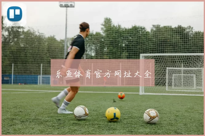 乐鱼体育官方网址大全