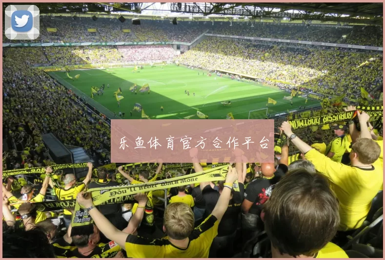 乐鱼体育官方合作平台