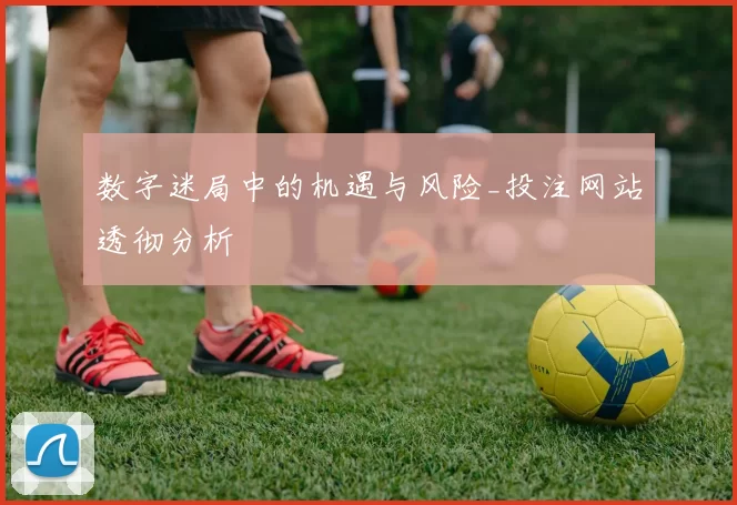 数字迷局中的机遇与风险_投注网站透彻分析