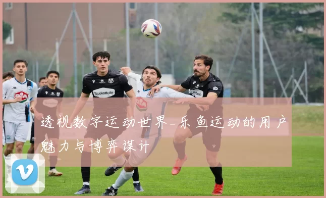 透视数字运动世界_乐鱼运动的用户魅力与博弈谋计