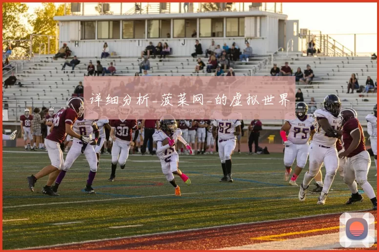 详细分析_菠菜网_的虚拟世界