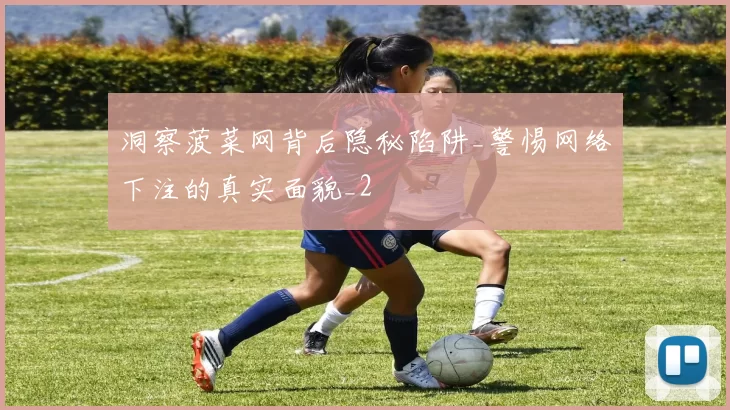 洞察菠菜网背后隐秘陷阱_警惕网络下注的真实面貌_2