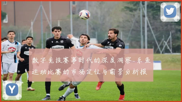 数字竞技赛事时代的深度洞察_乐鱼运动比赛的市场定位与前景分析报告
