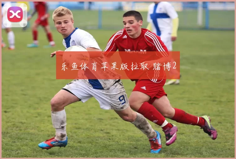 乐鱼体育苹果版拉取 赌博2