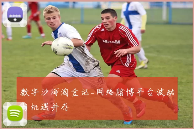 数字沙海淘金记_网络赌博平台波动与机遇并存