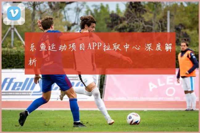 乐鱼运动项目APP拉取中心 深度解析
