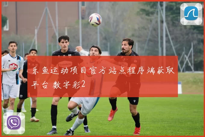 乐鱼运动项目官方站点程序端获取平台 数字彩2