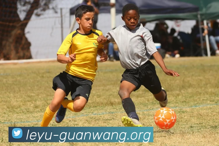 乐鱼体育appAPP 封面图